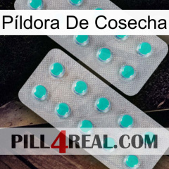 Píldora De Cosecha 29